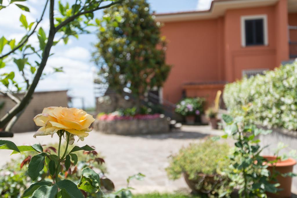 Bed And Breakfast Nonna Loreta Formello Luaran gambar