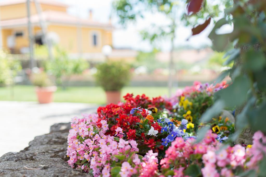 Bed And Breakfast Nonna Loreta Formello Luaran gambar
